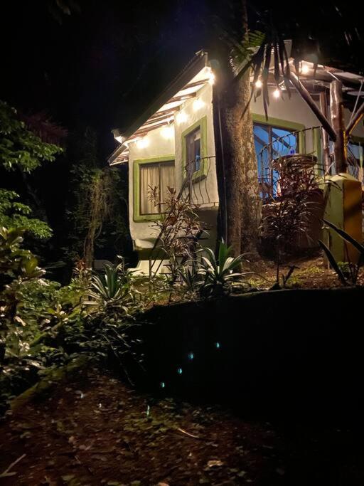 Jungle luxury on a budget Wisdom B&B