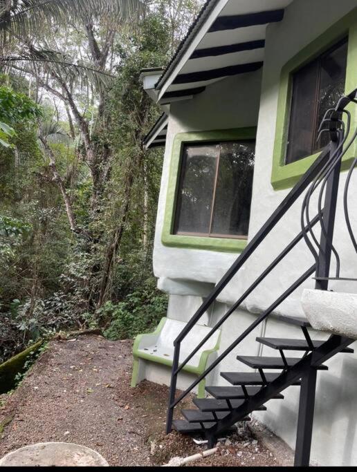 Jungle luxury on a budget Wisdom B&B