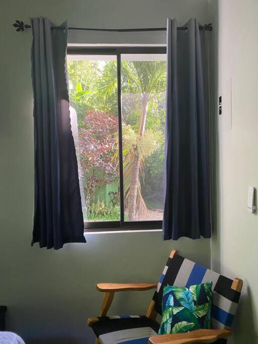 Jungle luxury on a budget Wisdom B&B