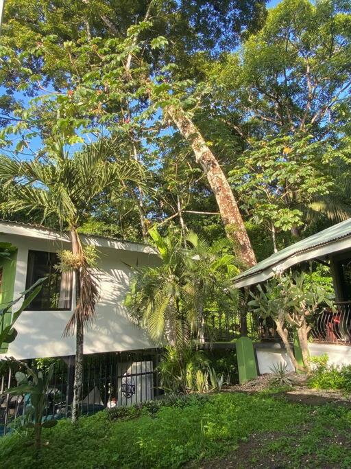 Jungle luxury on a budget Wisdom B&B