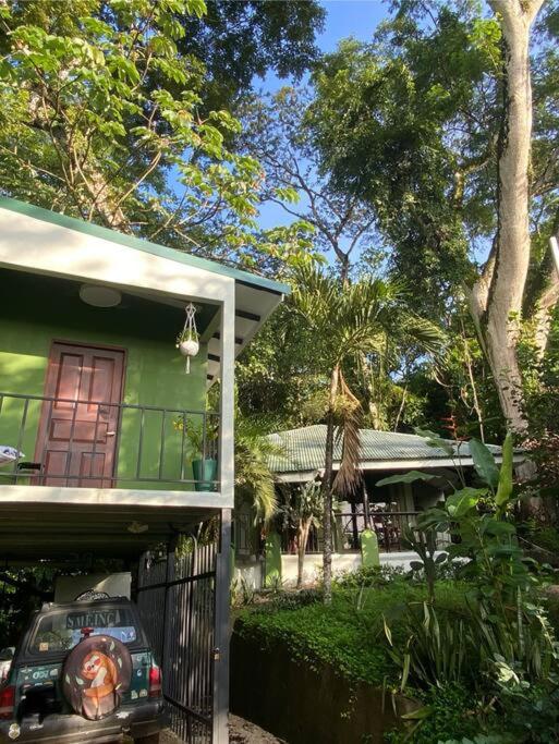 Jungle luxury on a budget Wisdom B&B