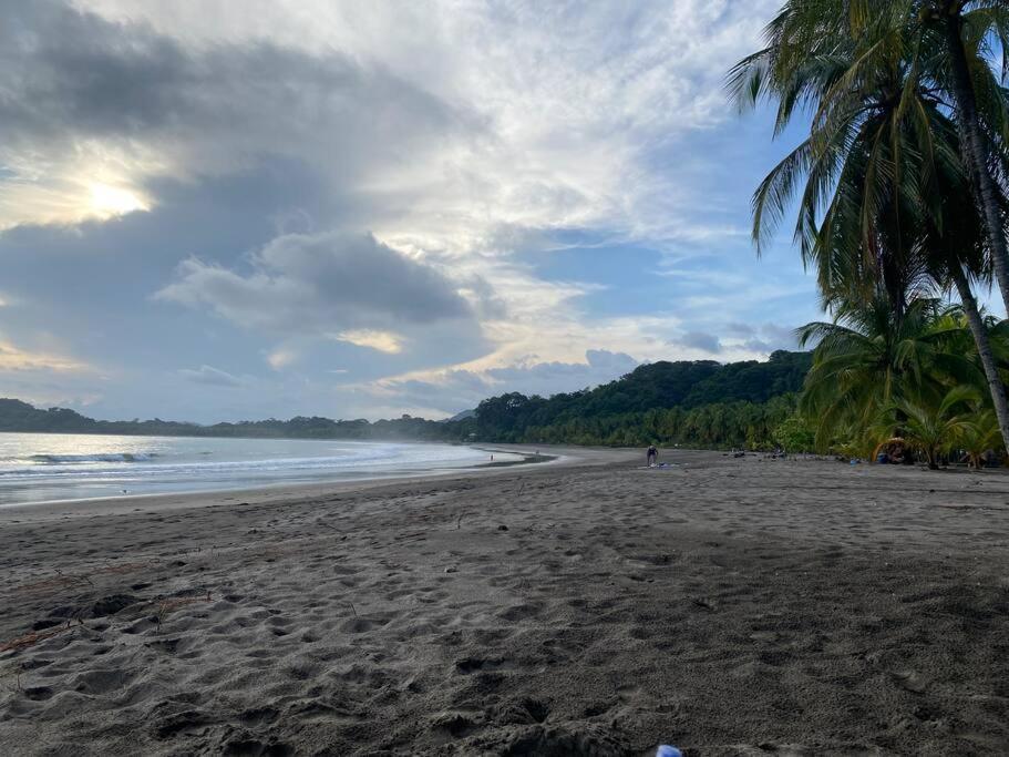 Jungle luxury on a budget Wisdom B&B