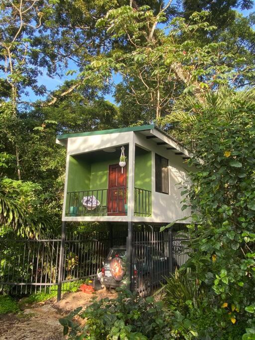 Jungle luxury on a budget Wisdom B&B