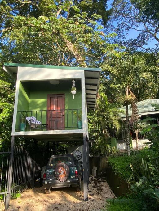 Jungle luxury on a budget Wisdom B&B