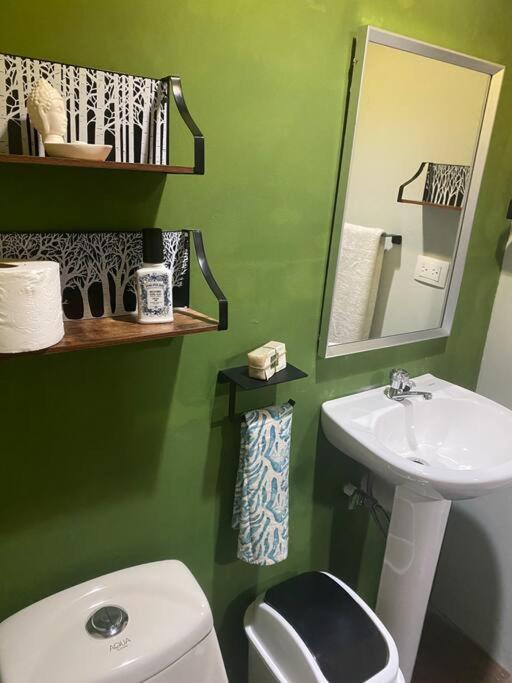 Jungle luxury on a budget Wisdom B&B