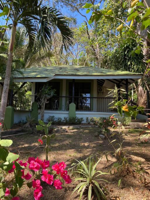 Jungle luxury on a budget Wisdom B&B