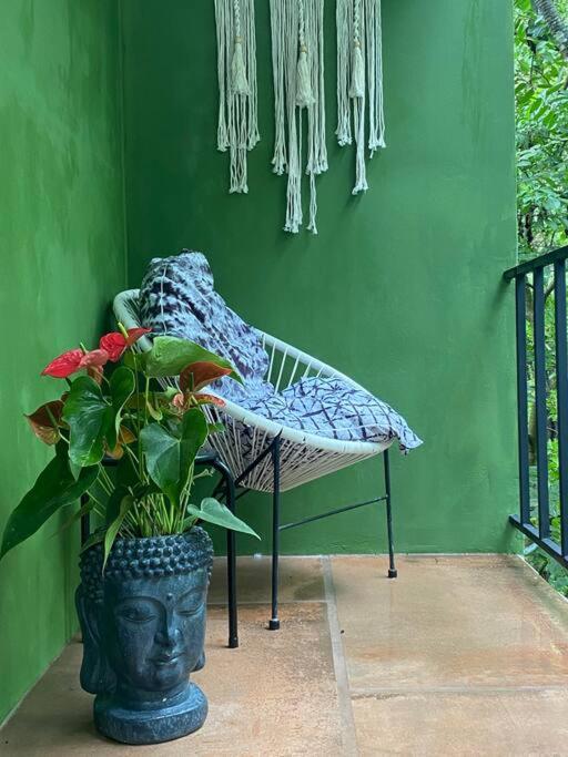 Jungle luxury on a budget Wisdom B&B