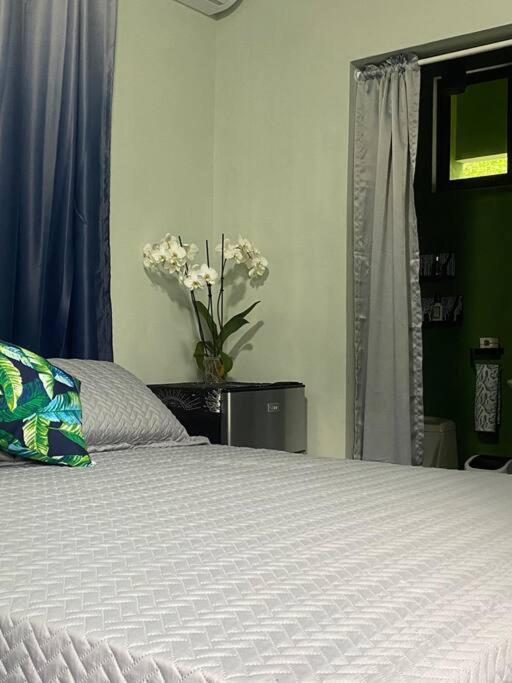 Jungle luxury on a budget Wisdom B&B