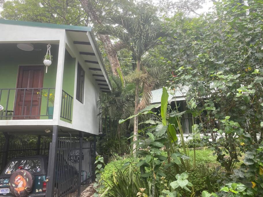 Jungle luxury on a budget Wisdom B&B