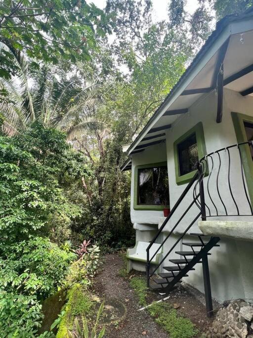 Jungle luxury on a budget Wisdom B&B