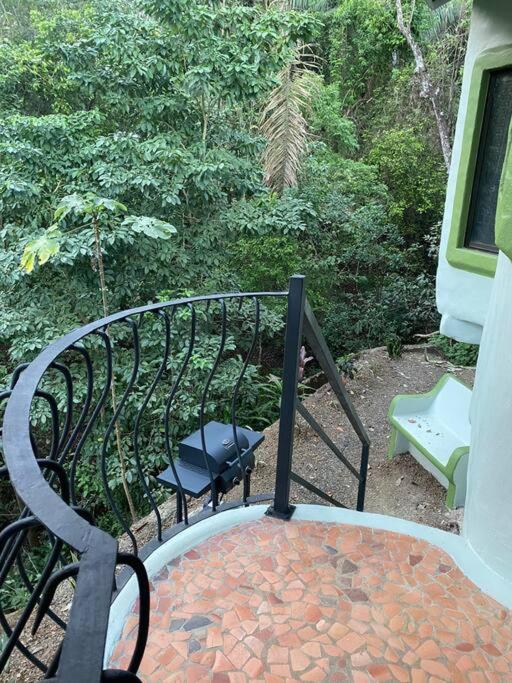 Jungle luxury on a budget Wisdom B&B