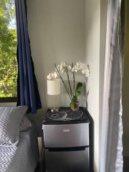 Jungle luxury on a budget Wisdom B&B