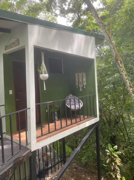 Jungle luxury on a budget Wisdom B&B