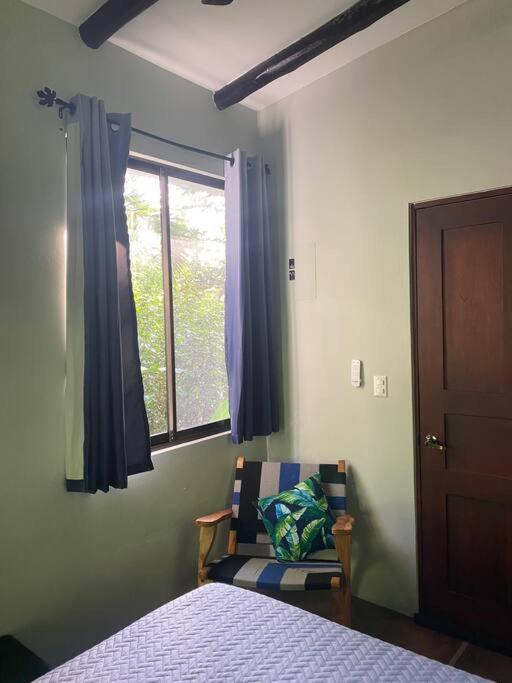 Jungle luxury on a budget Wisdom B&B