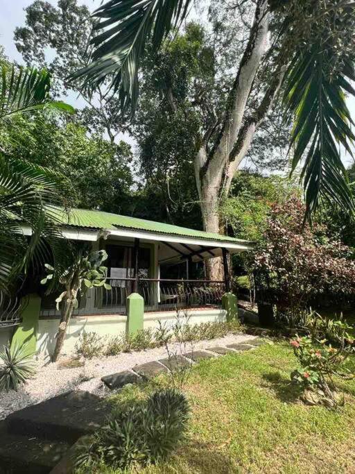 Jungle luxury on a budget Wisdom B&B