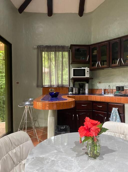 Jungle luxury on a budget Wisdom B&B