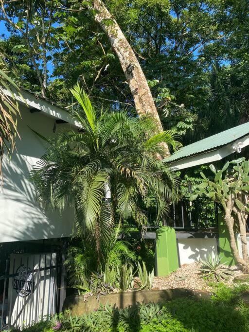 Jungle luxury on a budget Wisdom B&B