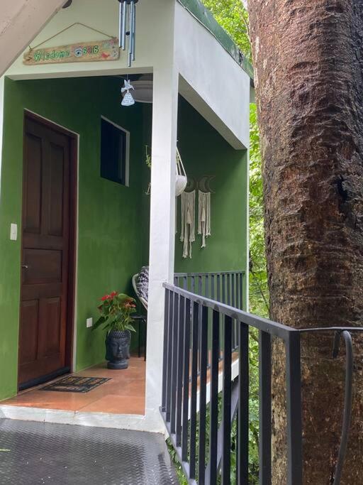 Jungle luxury on a budget Wisdom B&B