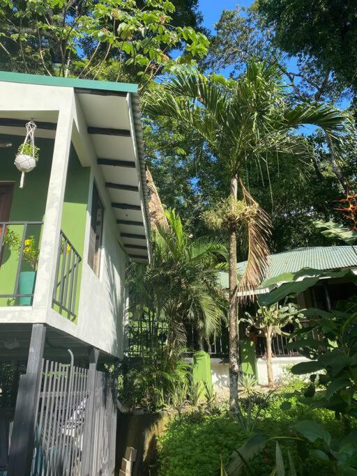 Jungle luxury on a budget Wisdom B&B