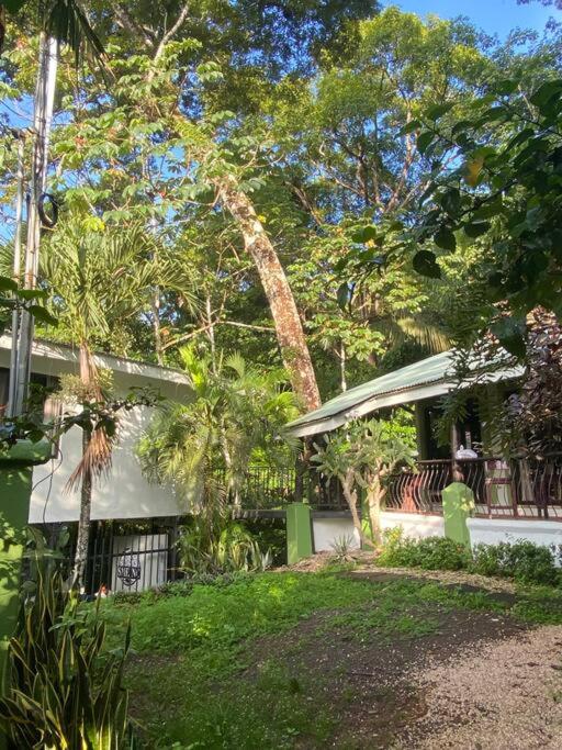 Jungle luxury on a budget Wisdom B&B