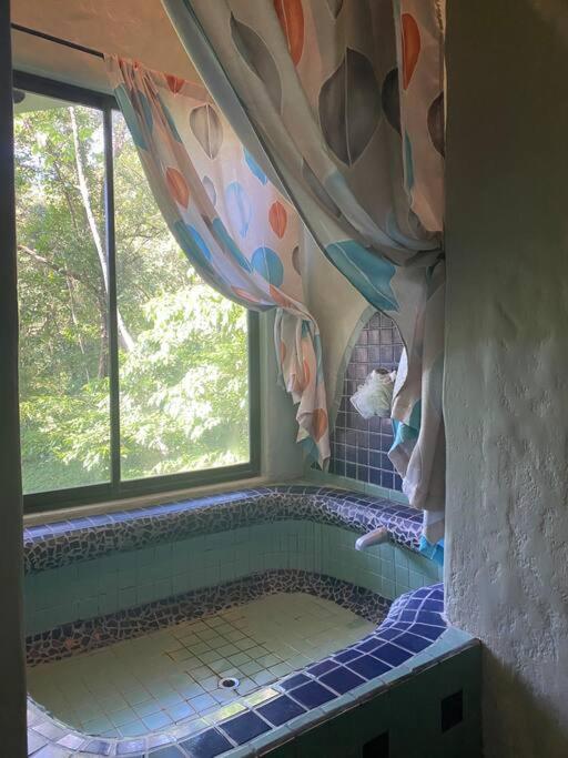 Jungle luxury on a budget Wisdom B&B