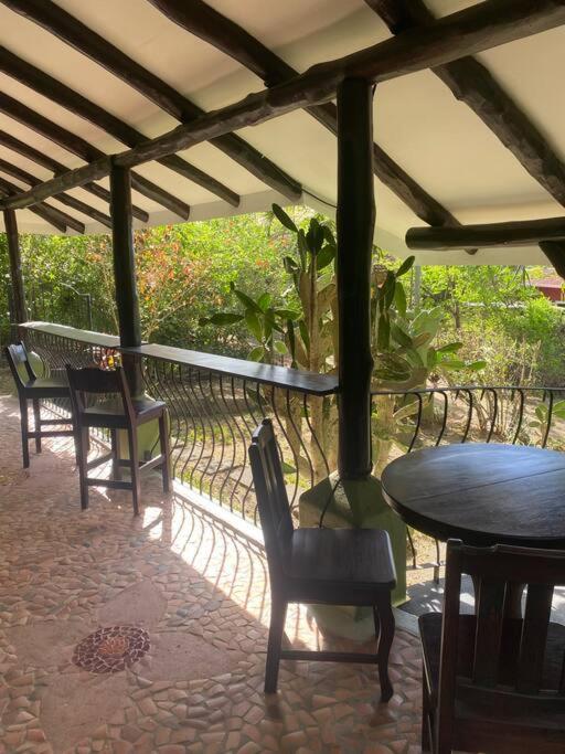 Jungle luxury on a budget Wisdom B&B
