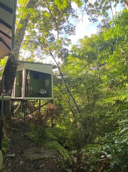 Jungle luxury on a budget Wisdom B&B