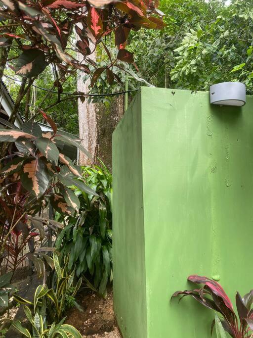 Jungle luxury on a budget Wisdom B&B
