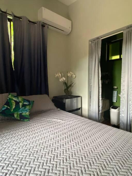 Jungle luxury on a budget Wisdom B&B
