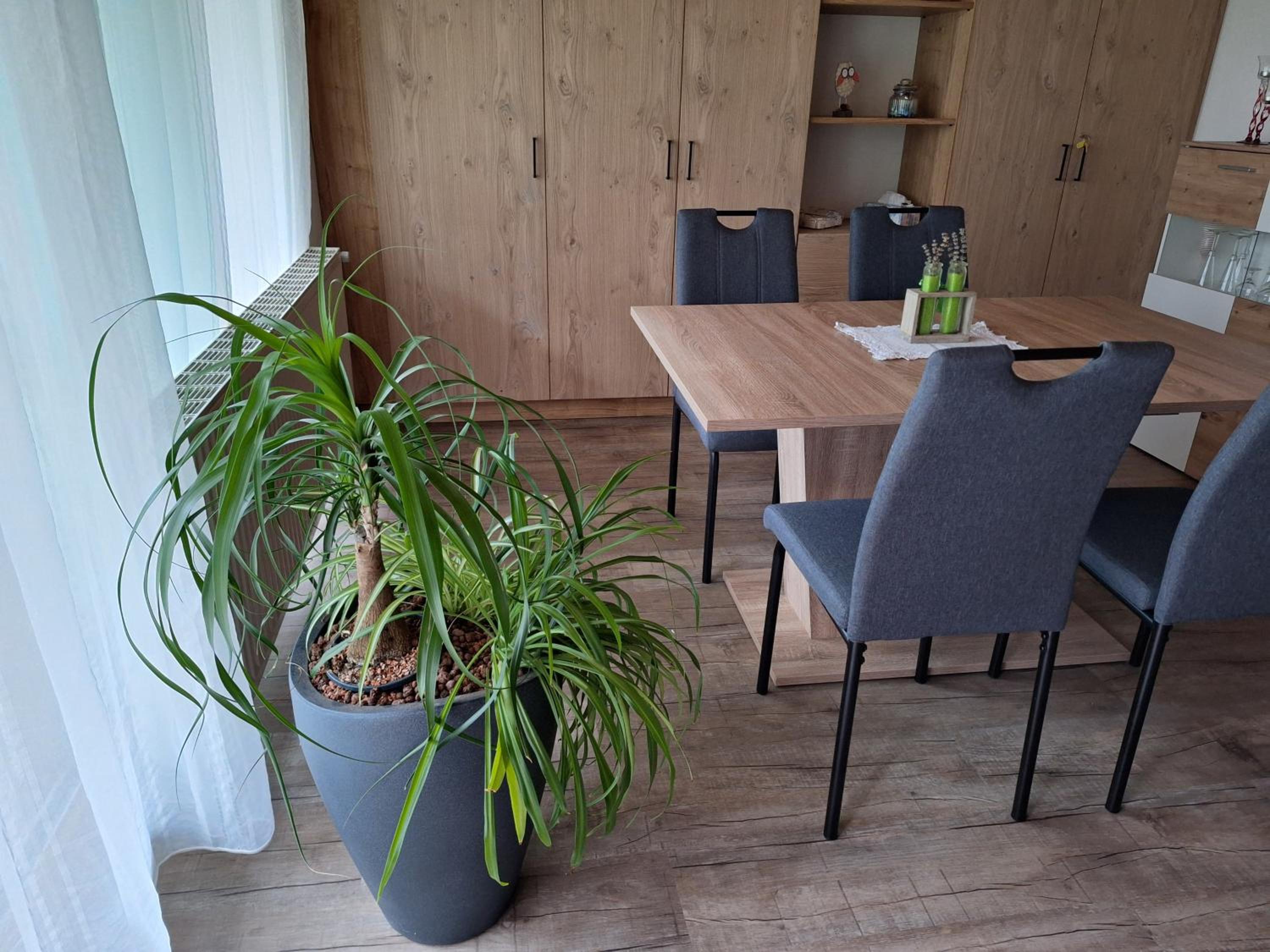 Apartment Eva