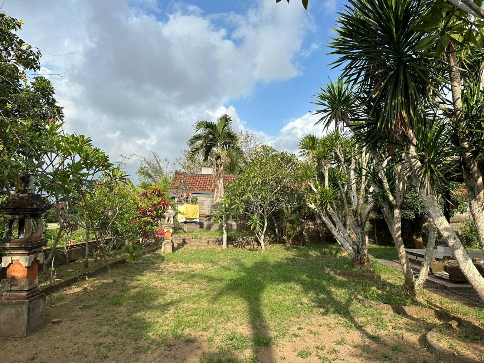 Hazel's House