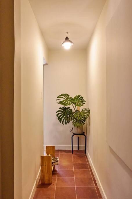 Cozy Studio in heart of District1 Ho Chi Minh