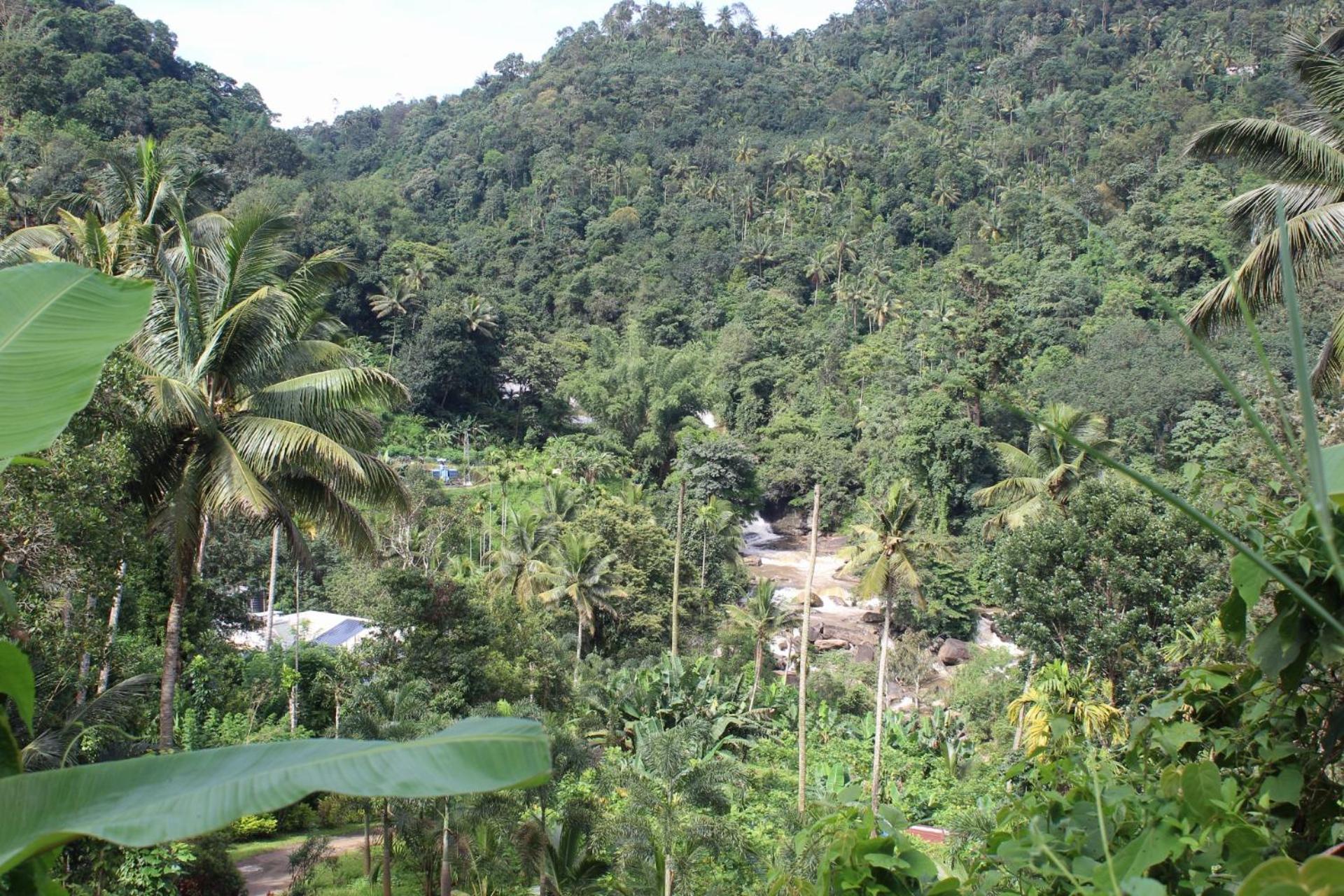 Munnar Village Homes