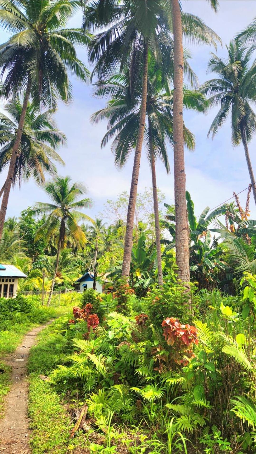 Nyandetor Homestay