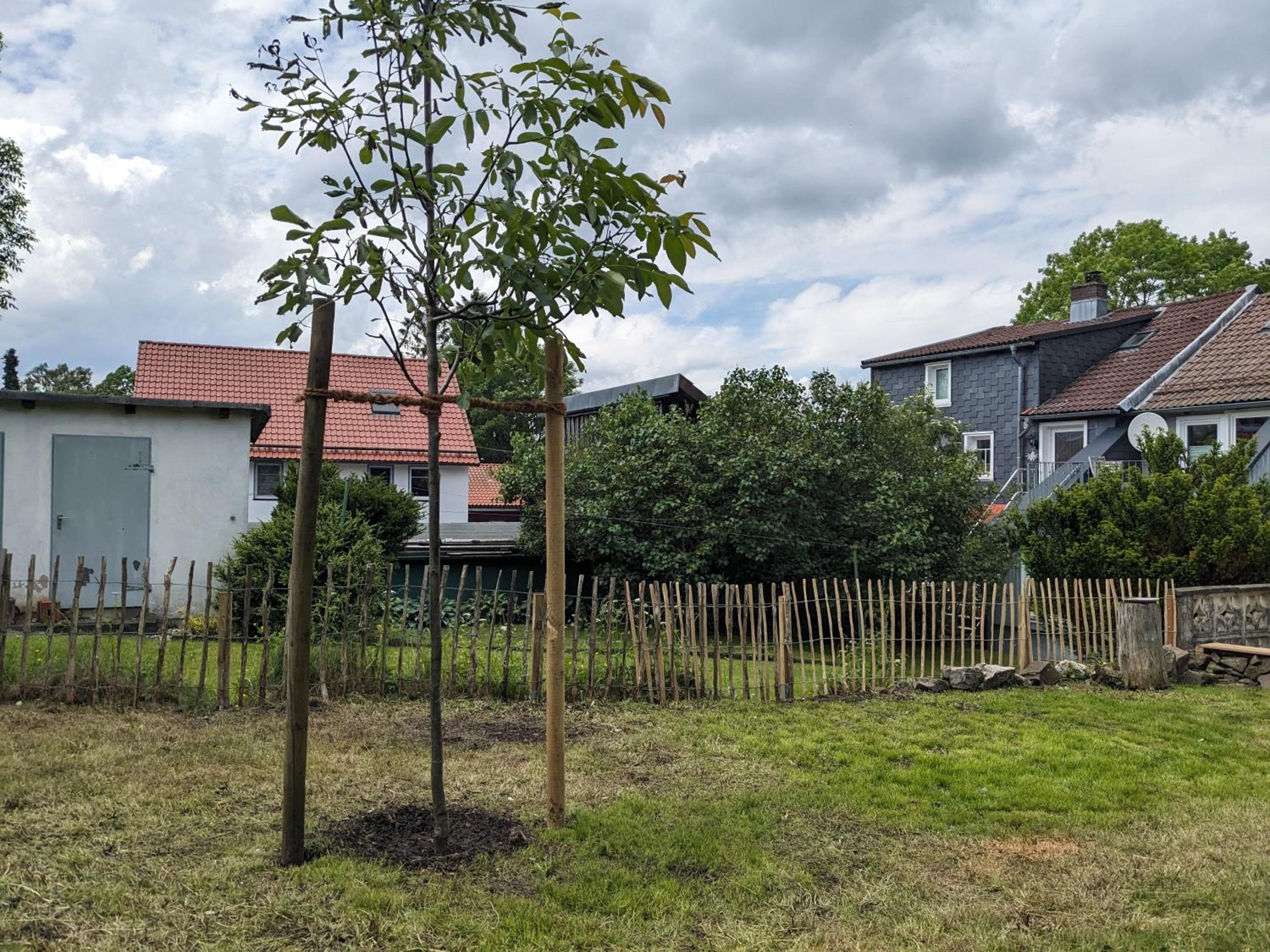 Bergmann-Haus-Bussmann
