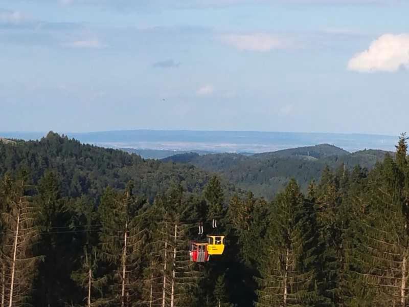Ferienwohnung AussichtsReich