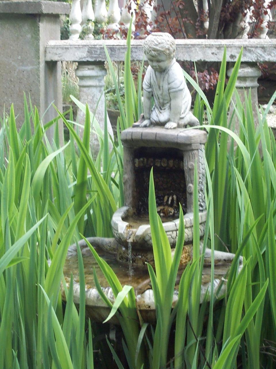 Photo 54