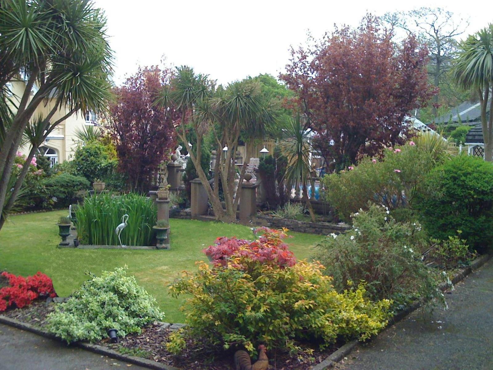 Photo 51