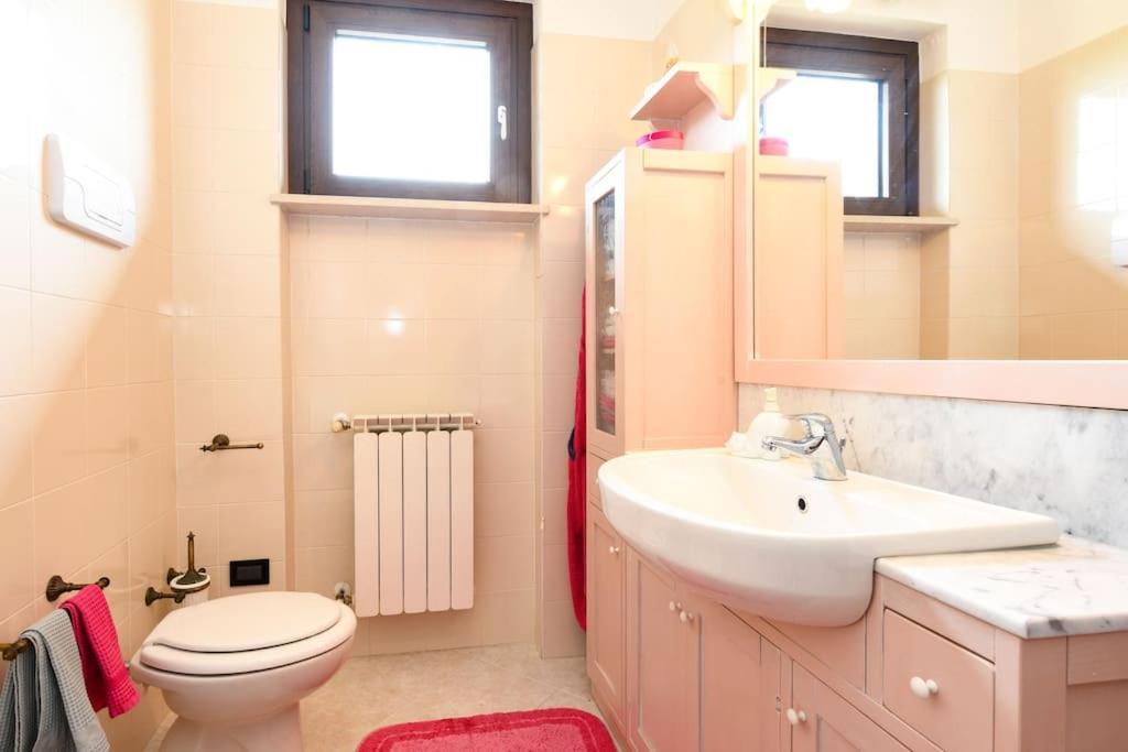 Panorama Apartment