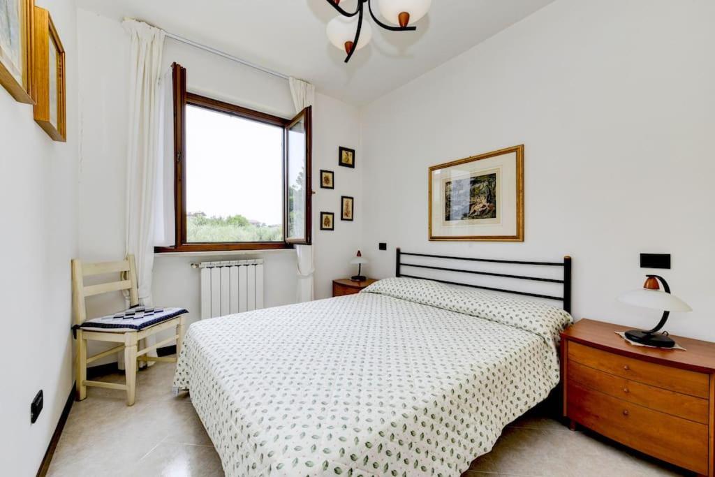 Panorama Apartment