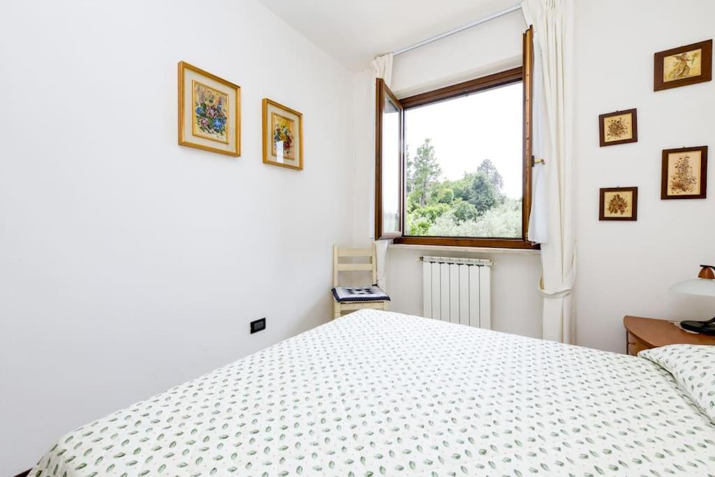 Panorama Apartment