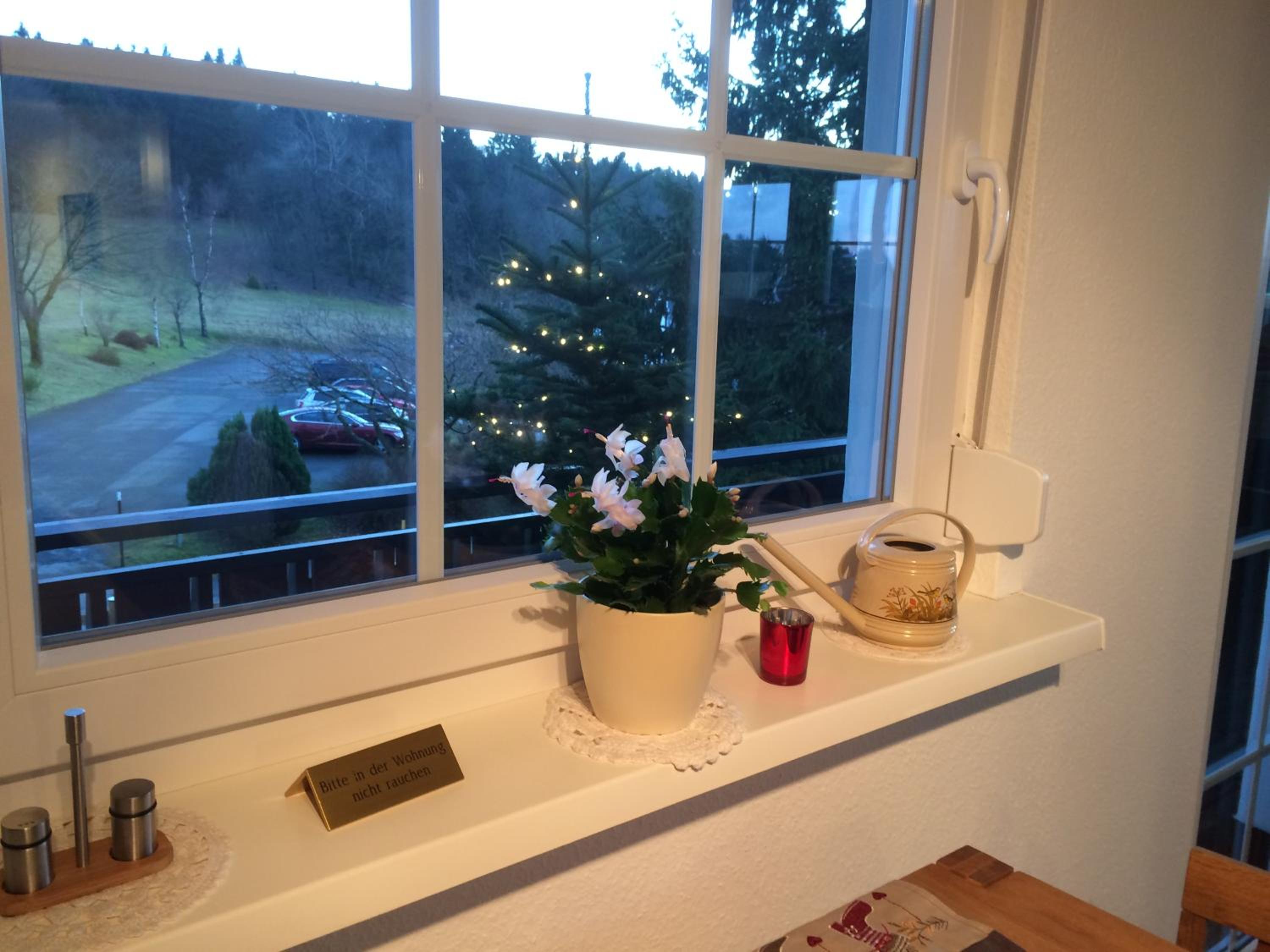 Ferienwohnung Astenpanorama