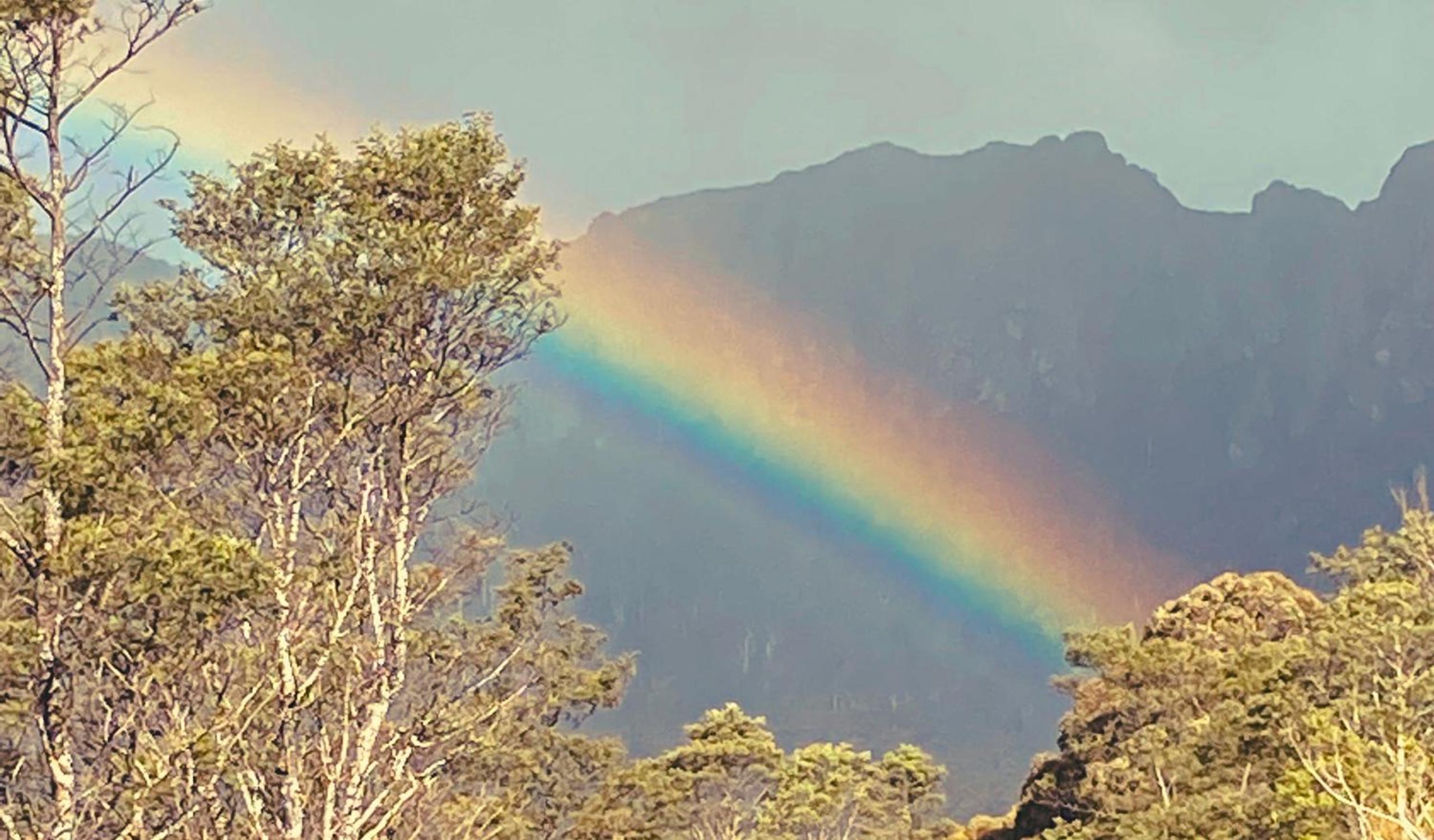 Wilder Tasmania