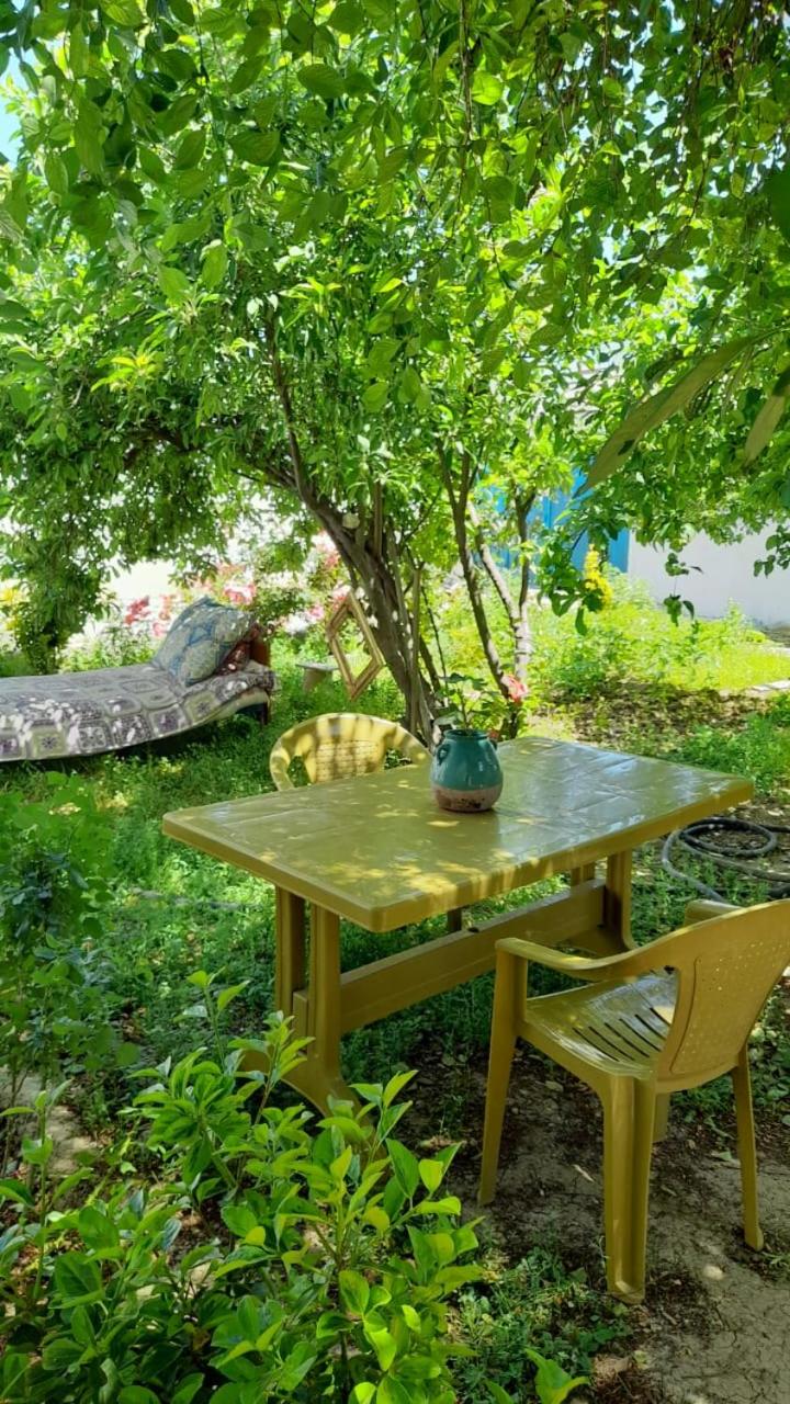 Garden House in Center of Nakhchivan
