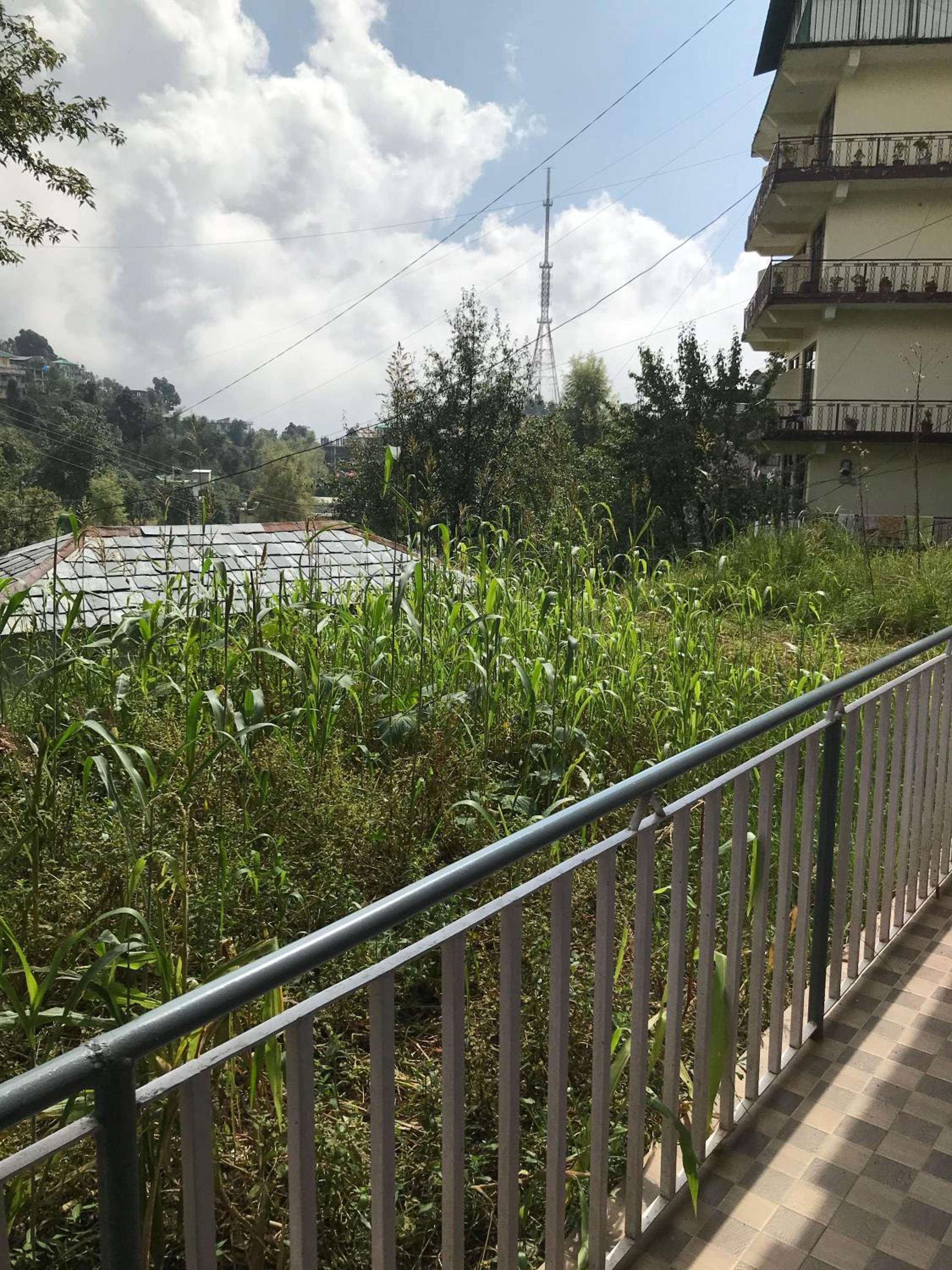 Mcleodganj Diaries Guest House