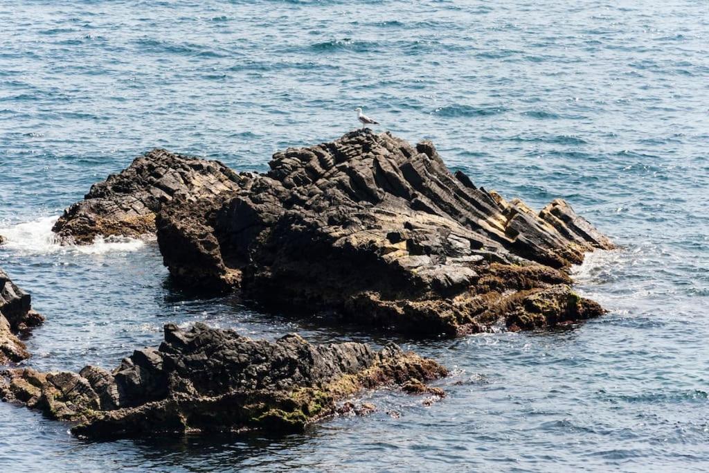 Prua sul mare