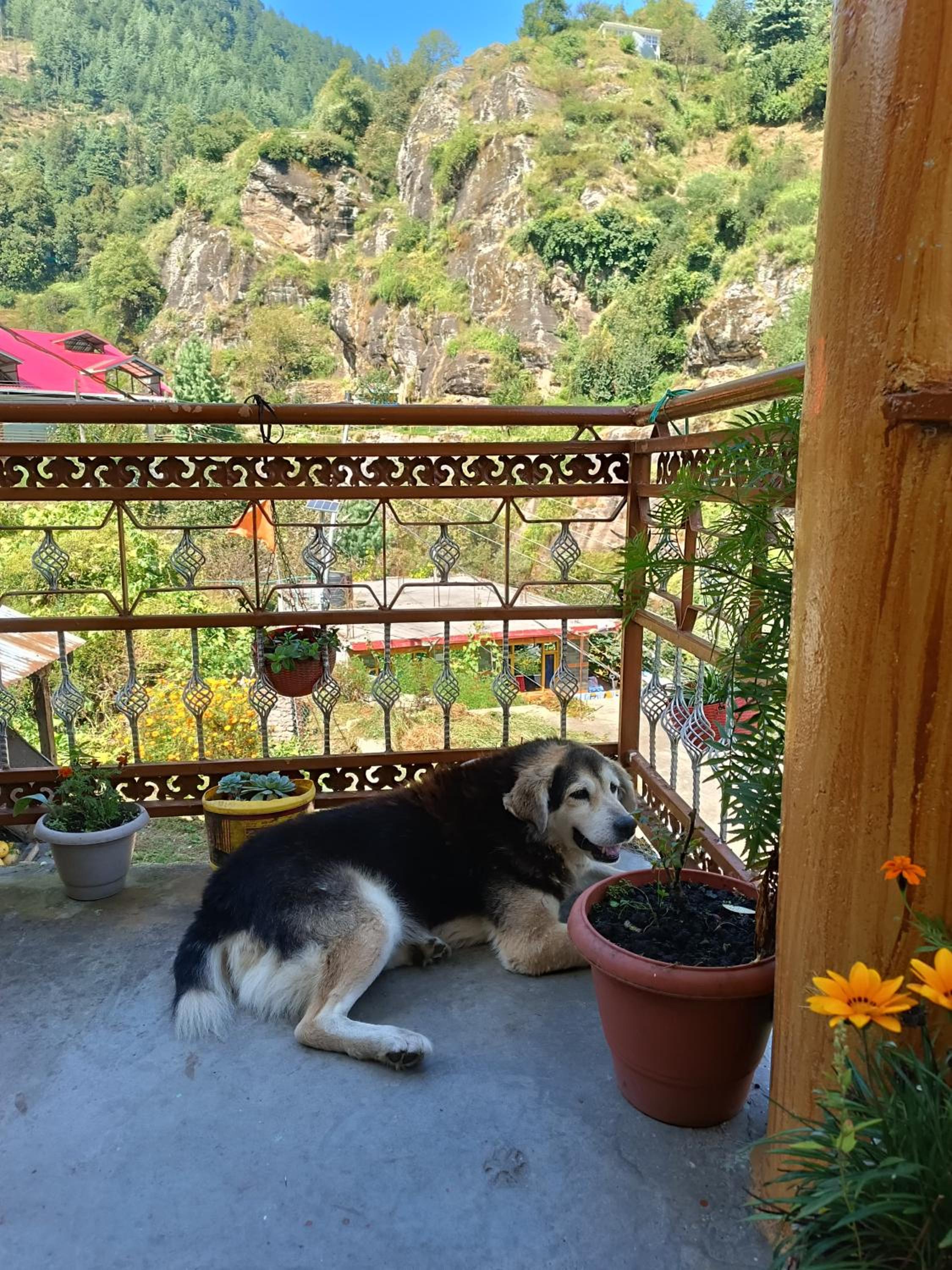 CheckPoint Hostel - Path 2 Reforming Thoughts & Hidden Trek's, Explore Srilanka Village view 5