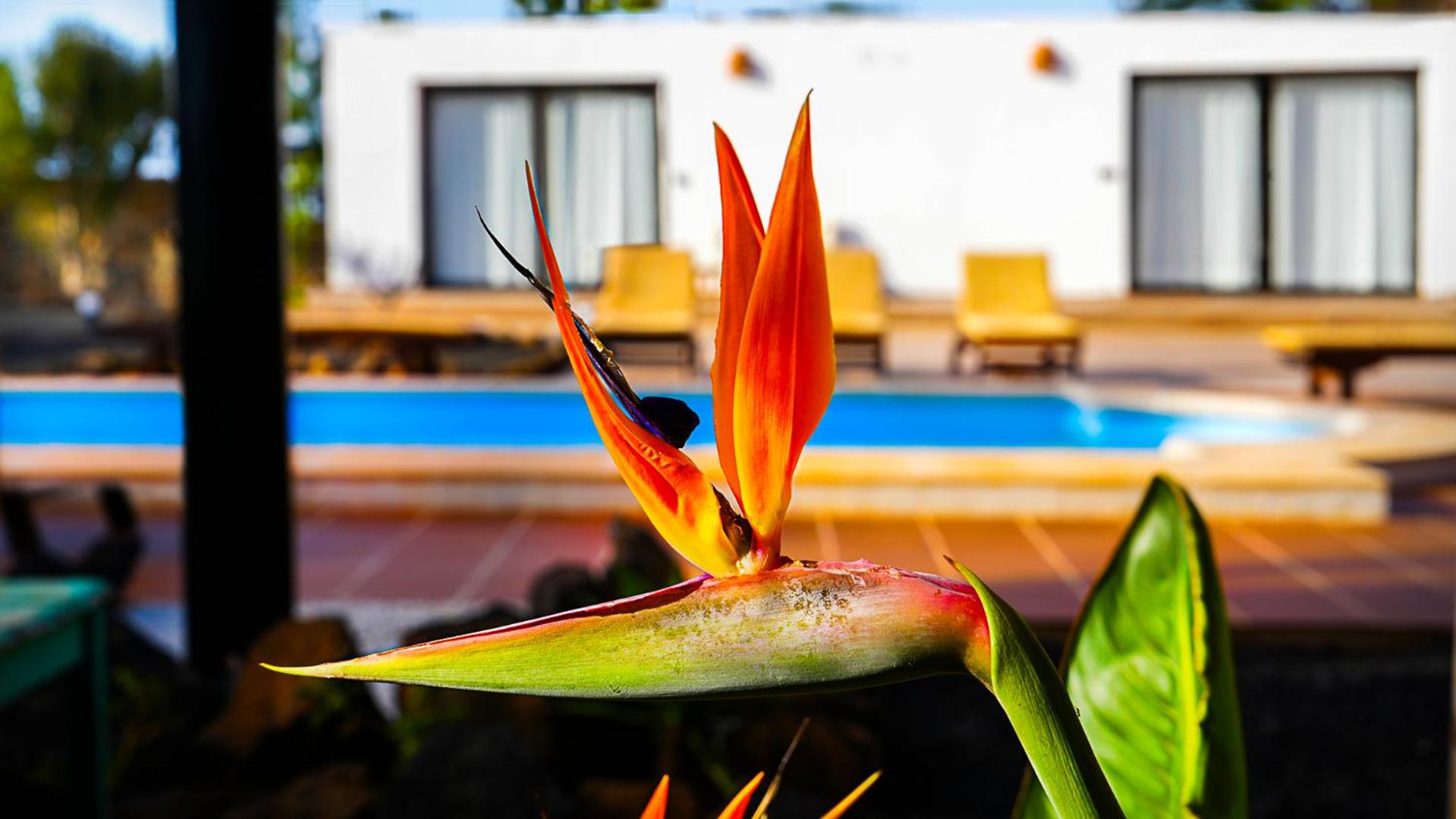 Villa Azul Fuerteventura