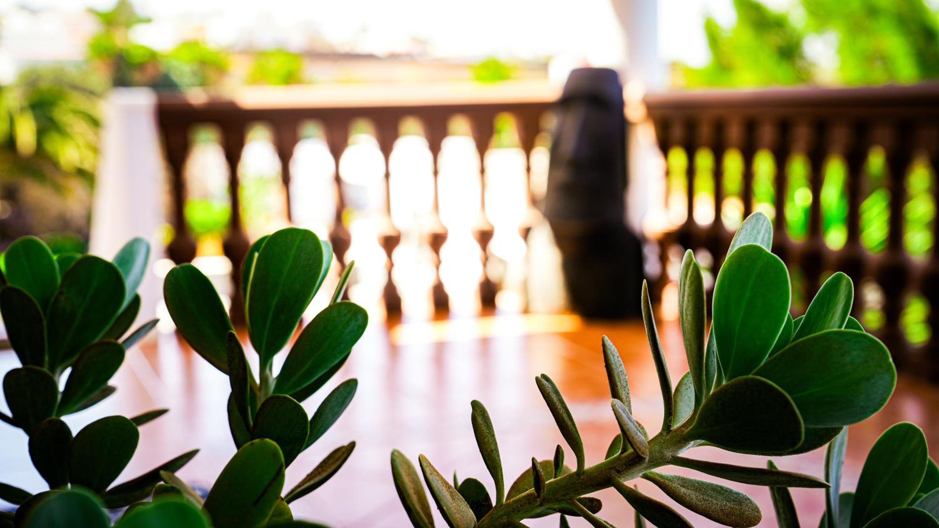 Villa Azul Fuerteventura