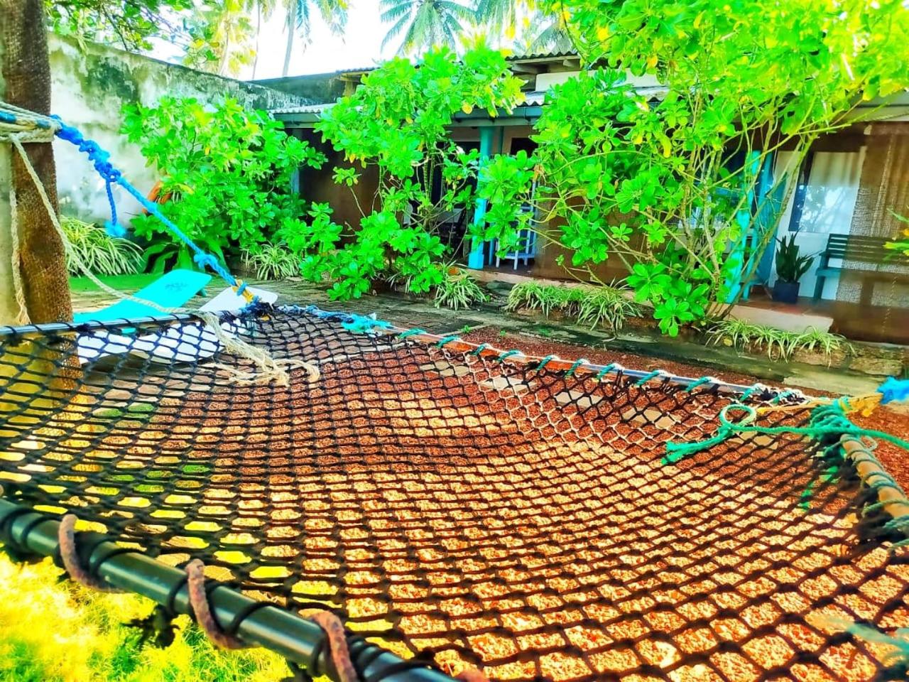 Photo 41